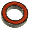 Enduro Max MR 17287 LLU BO Sealed Bearing