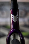 Berria Allroad PRO Apex AXS 2025 - Black/Oil Slick - SMALL